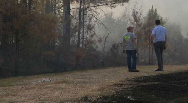 <i></i><br/>A driver towing a van sparked fire near Terry High School.