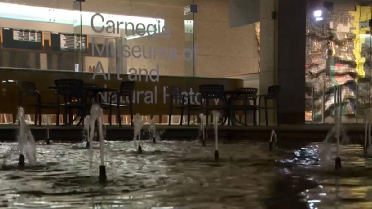 <i>WTAE</i><br/>A piece at the Carnegie Museum of Art has been seized because officials believe it may have been stolen during the Holocaust.