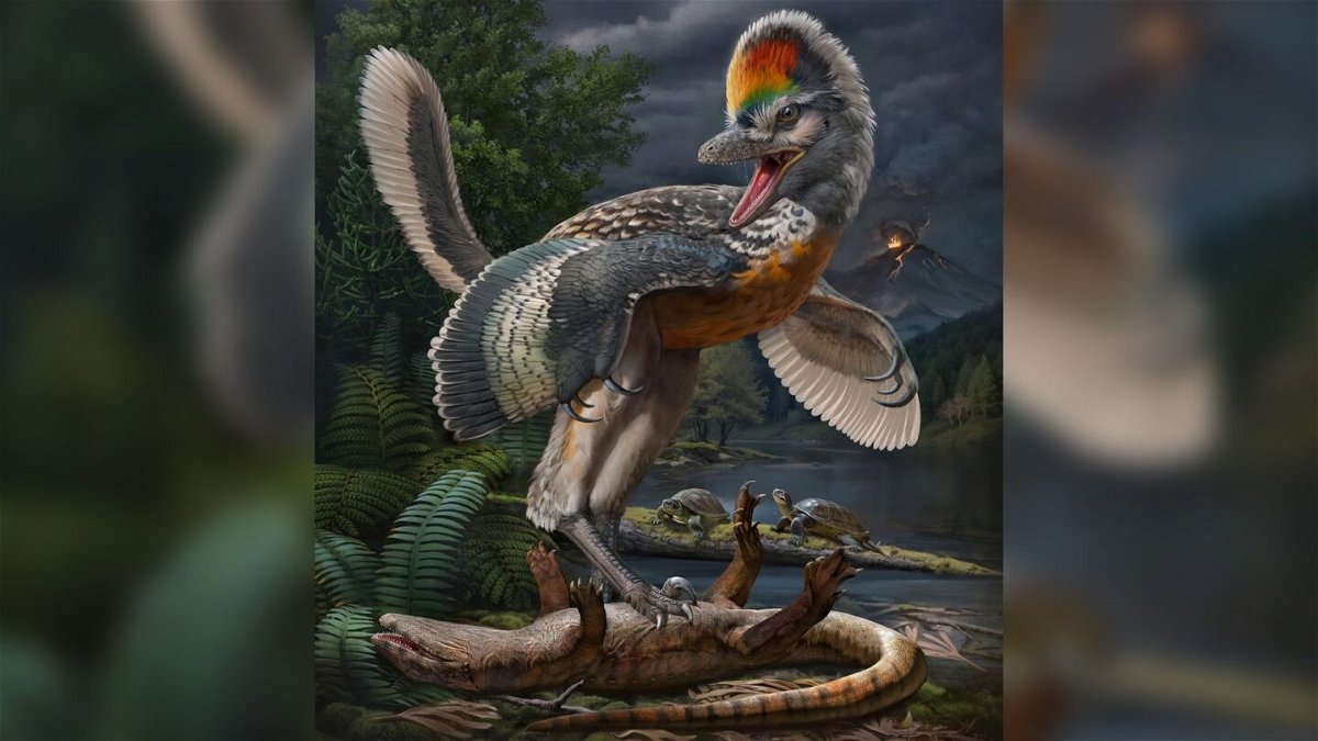 An artist's reconstruction of what Fujianvenator prodigiosus, a newly discovered dinosaur, may have looked like.
