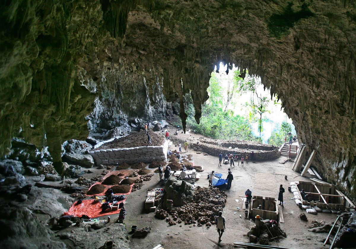 The Liang Bua cave excavation site, where the fossils of Homo floresiensis were discovered on the island of Flores in Indonesia.