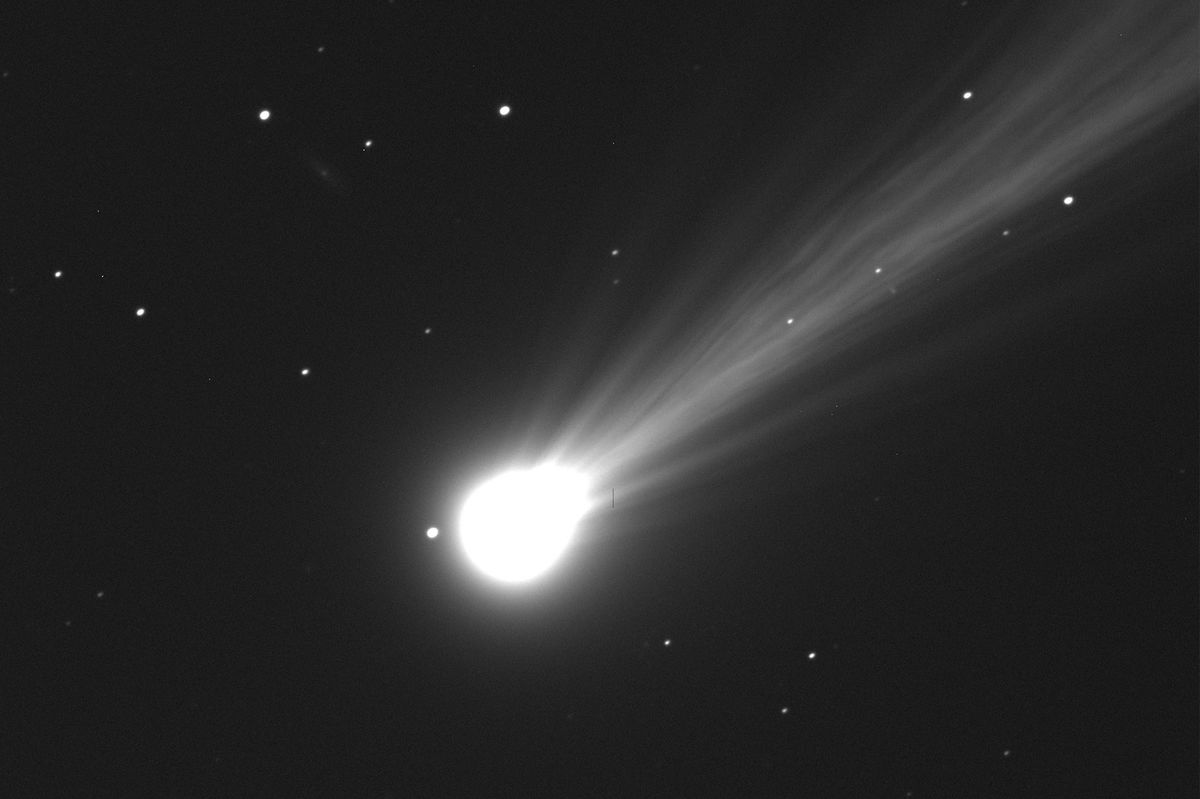 Lowell Observatory astronomer Dr. Larry Wasserman captured an image of Comet Nishimura using the Lowell Discovery Telescope (4.3-m diameter) Wednesday morning during twilight.