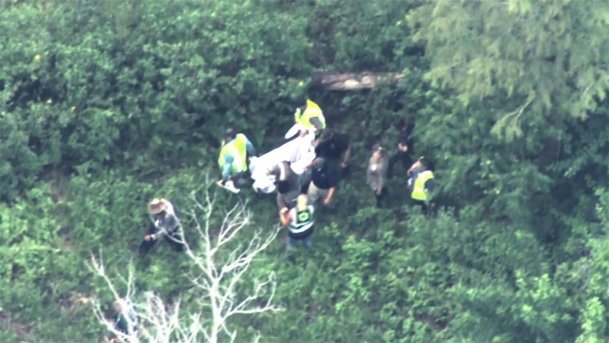 Aerial footage of FWC personnel on the scene attempting to remove the bear.