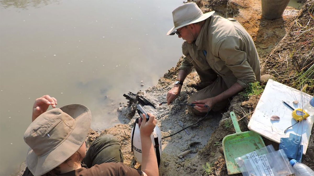 	professor of archaeology at the University of Liverpool, carefully uncovers the wooden structure on the riverbank with a fine spray.