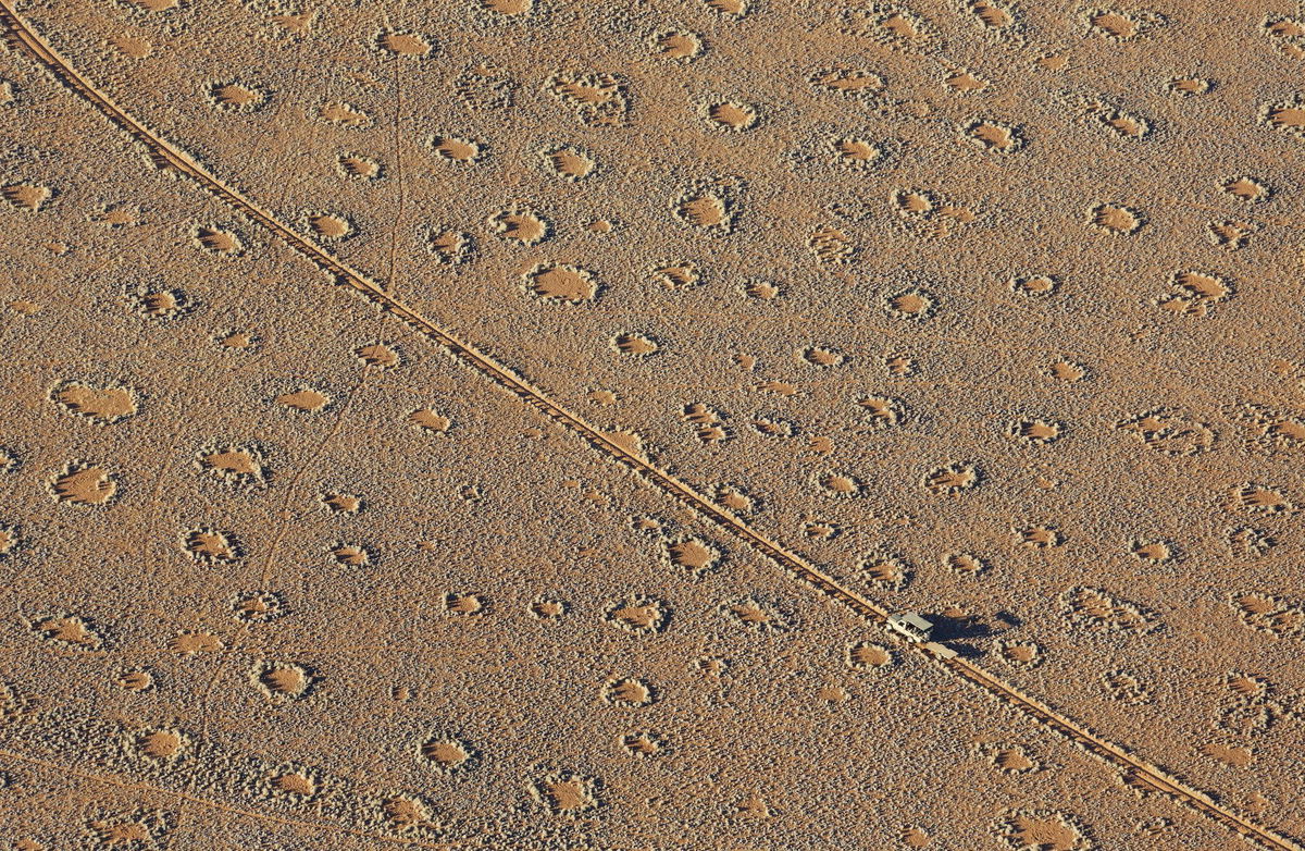 So-called fairy circles, or bare patches forming patterns that can span miles, are shown at the edge of the Namib Desert in Namibia.