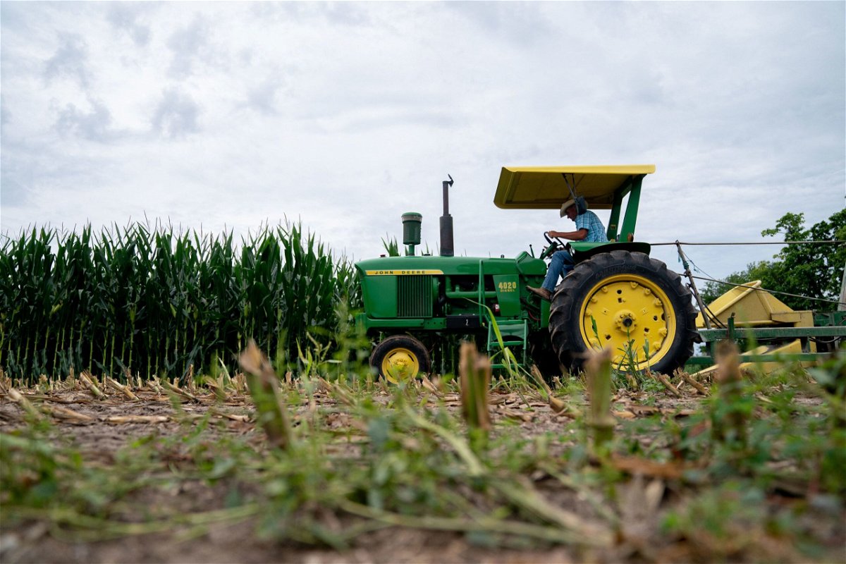 Steve Swenka prepares to chop up corn stalks to feed to his cows at Double G Angus Farms in Tiffin, Iowa, on August 13.