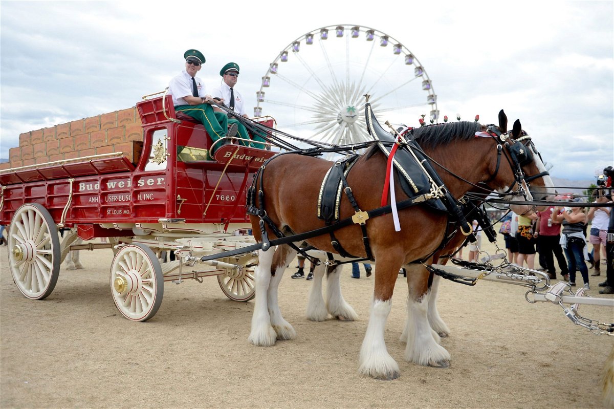 <i>Matt Cowan/Getty Images</i><br/>Budweiser Clydesdale horses are seen during 2016 Stagecoach California's Country Music Festival at Empire Polo Club in April 2016 in Indio