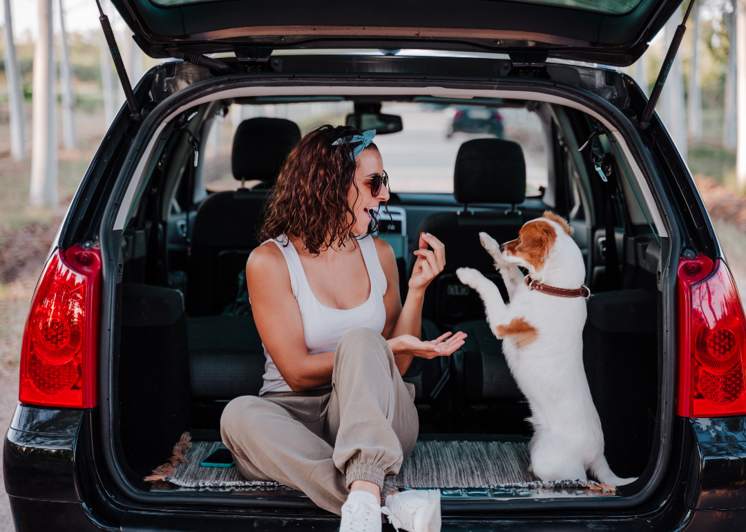 Essential tips for pawsome road trips with pets