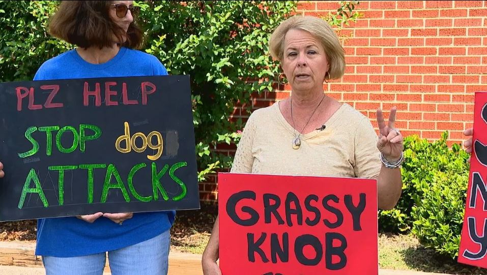 <i>WLOS</i><br/>Many people concerned about dog problems along Grassy Knob Road have asked Congressman Chuck Edward’s office for help with the problem.