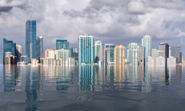 How sea levels in 40 cities will change by 2050