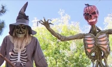 A man in Bountiful has transformed his backyard into a haunted forest and invites the public to check it out — if they dare.
