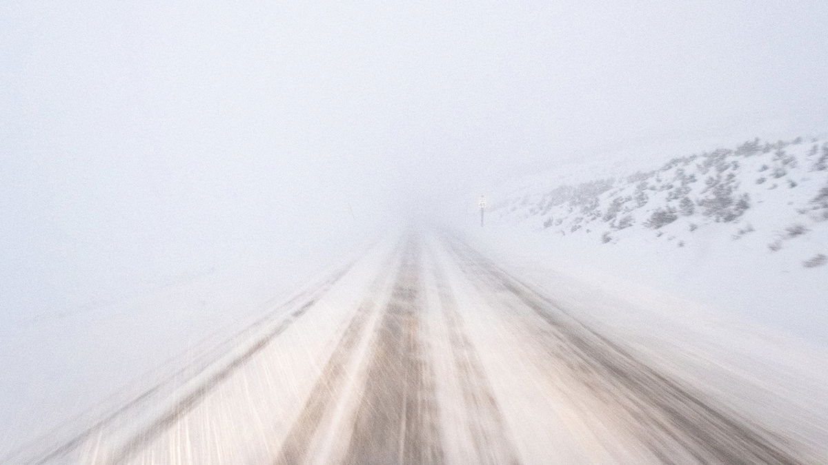 Whiteout conditions on park roads.
