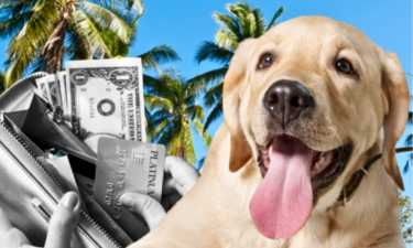 Where pet owners in the US spend the most on their pets