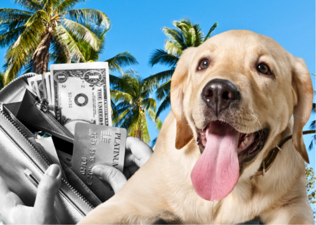 Where pet owners in the US spend the most on their pets