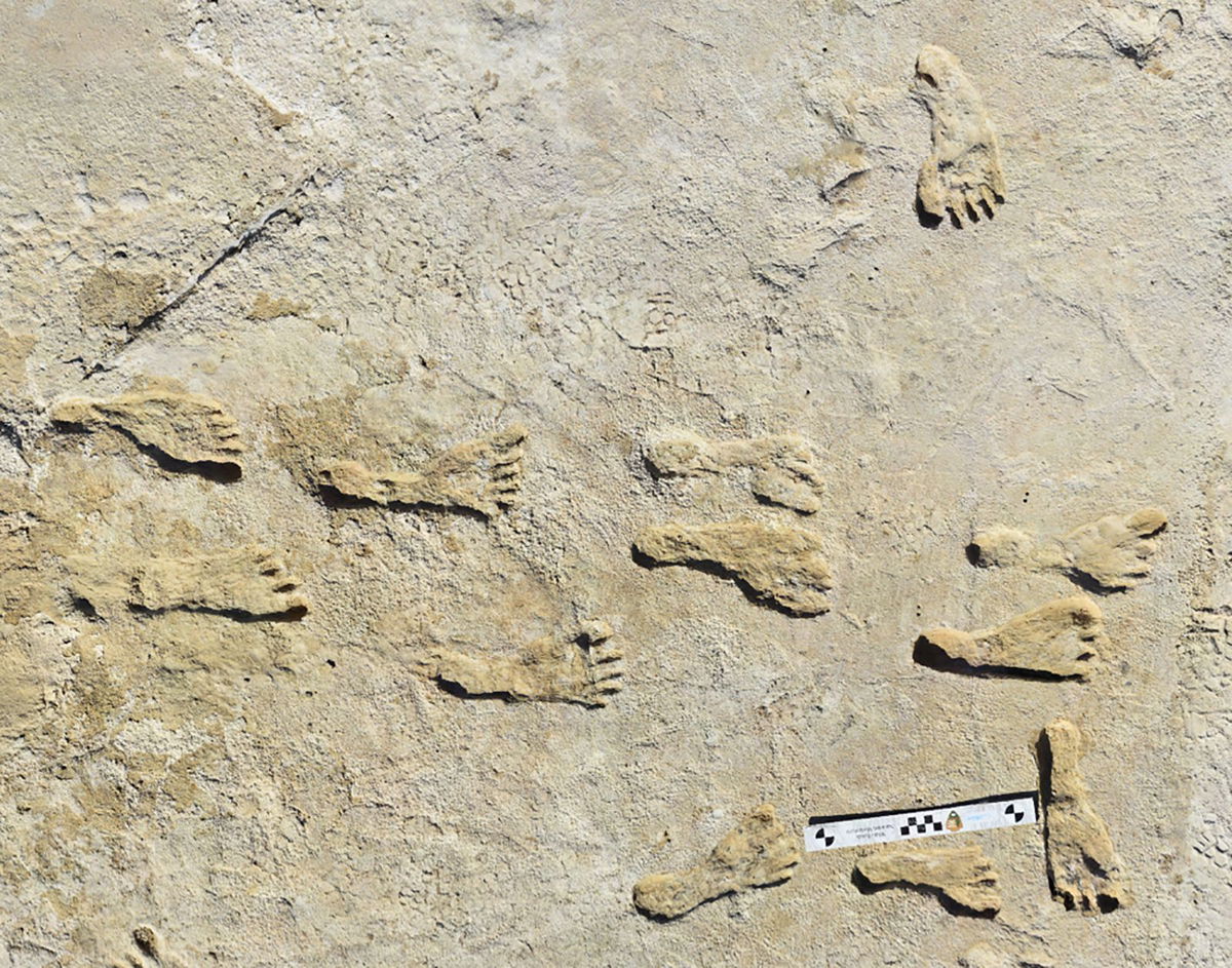 Ancient human footprints have been uncovered at White Sands National Park in New Mexico.