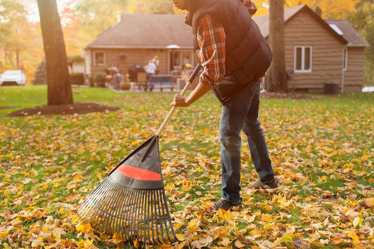 Raking leaves can burn more calories in an hour than a brisk walk or weight training session.