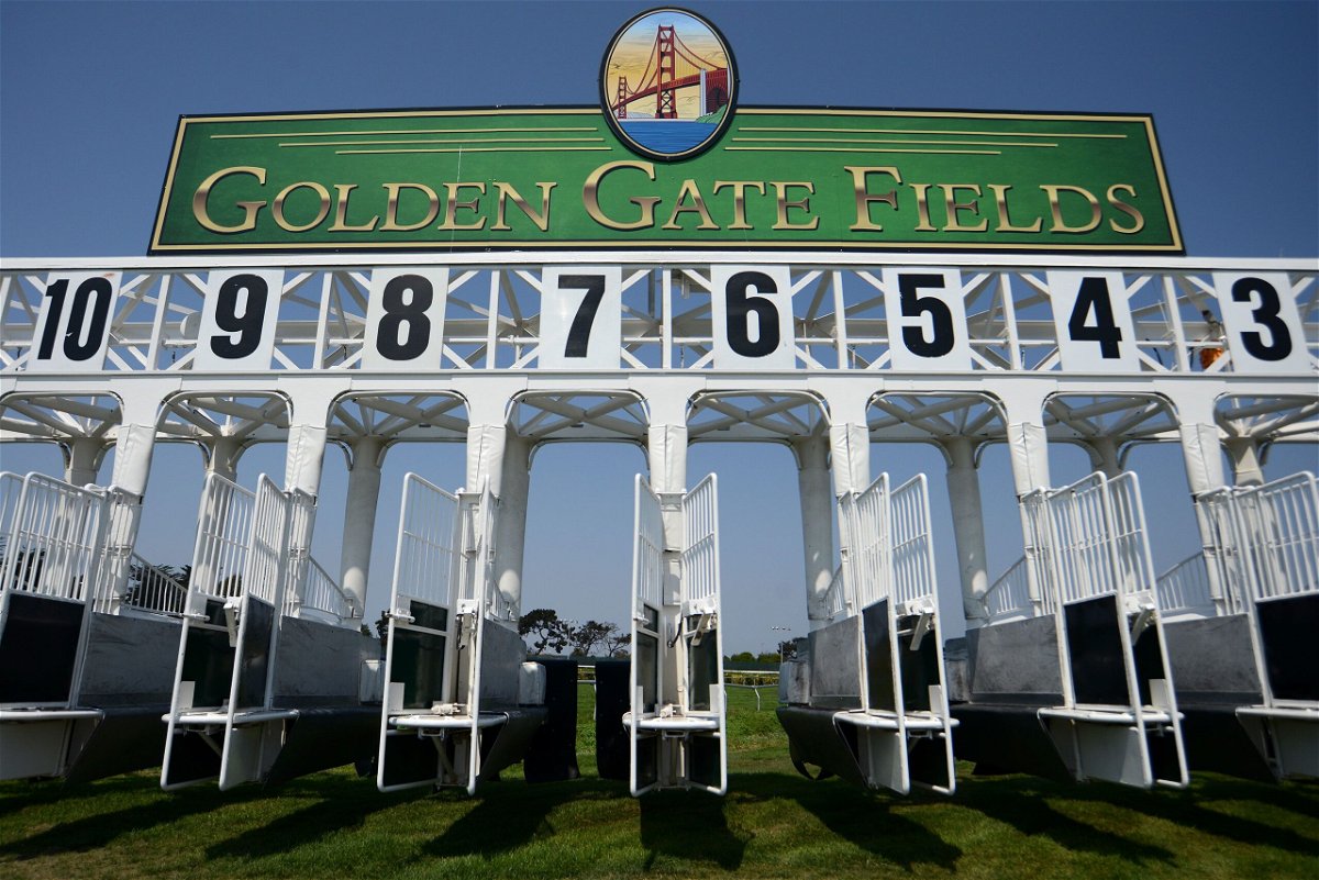 <i>Cody Glenn/Getty Images</i><br/>The starting gates at Golden Gate Fields during a race day in September 2018. Four horses have died at Golden Gate Fields in the San Francisco Bay Area in the past two weeks