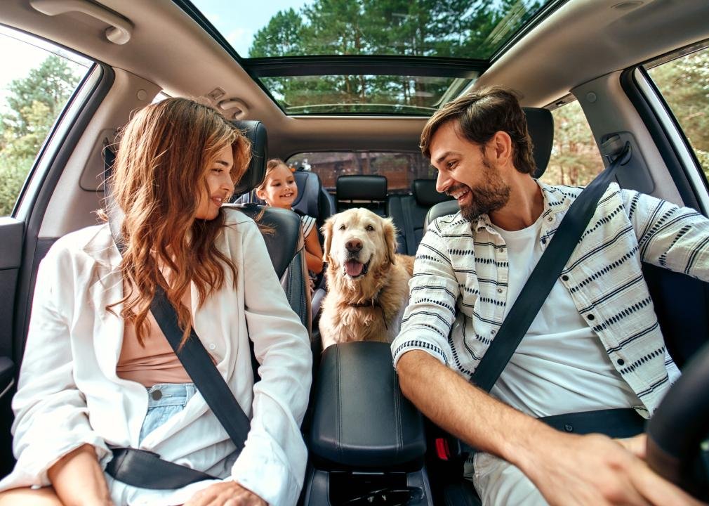 The do's and don'ts of taking pets on the road