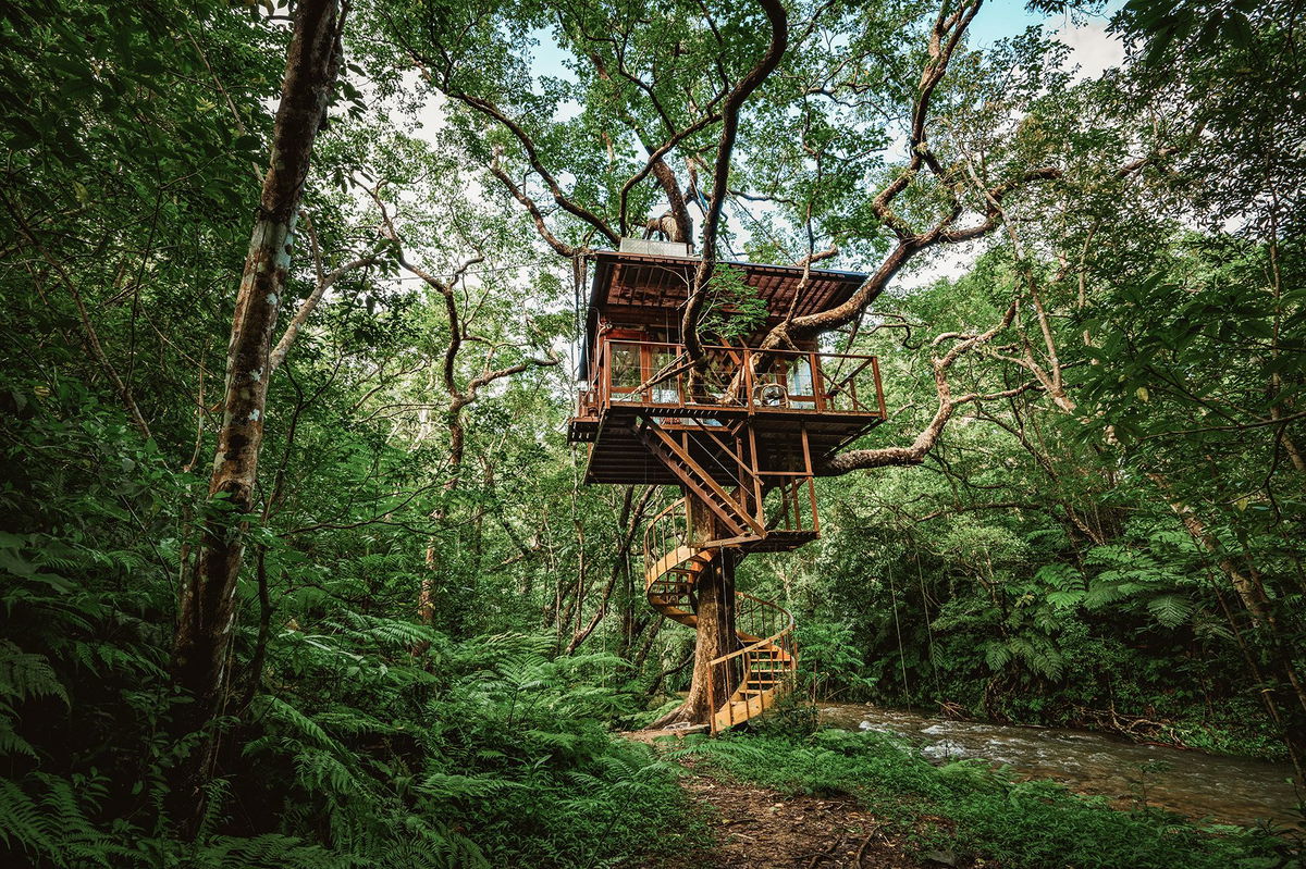 The original treehouse at Treeful in Okinawa prefecture.