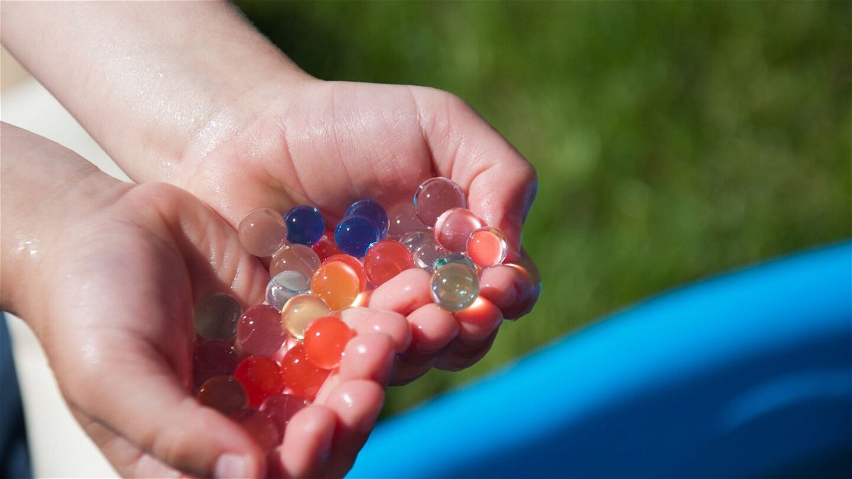 Water beads that have expanded after coming in contact with liquid. Government officials, public health professionals and concerned parents are calling on Congress to ban water beads, a children’s toy that they say poses significant health risks.