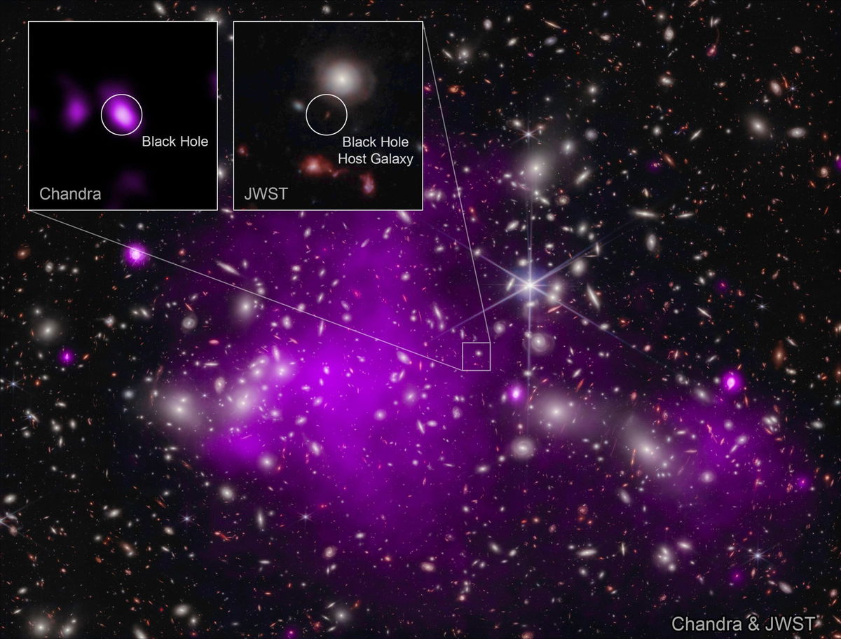 <i>NASA/ESA/CSA/STScI/CXC/SAO/Ákos Bogdán/L. Frattare & K. Arcand</i><br/>Astronomers found the most distant black hole ever detected in X-rays using the Chandra and Webb space telescopes. The Abell 2744 galaxy cluster dominates this image