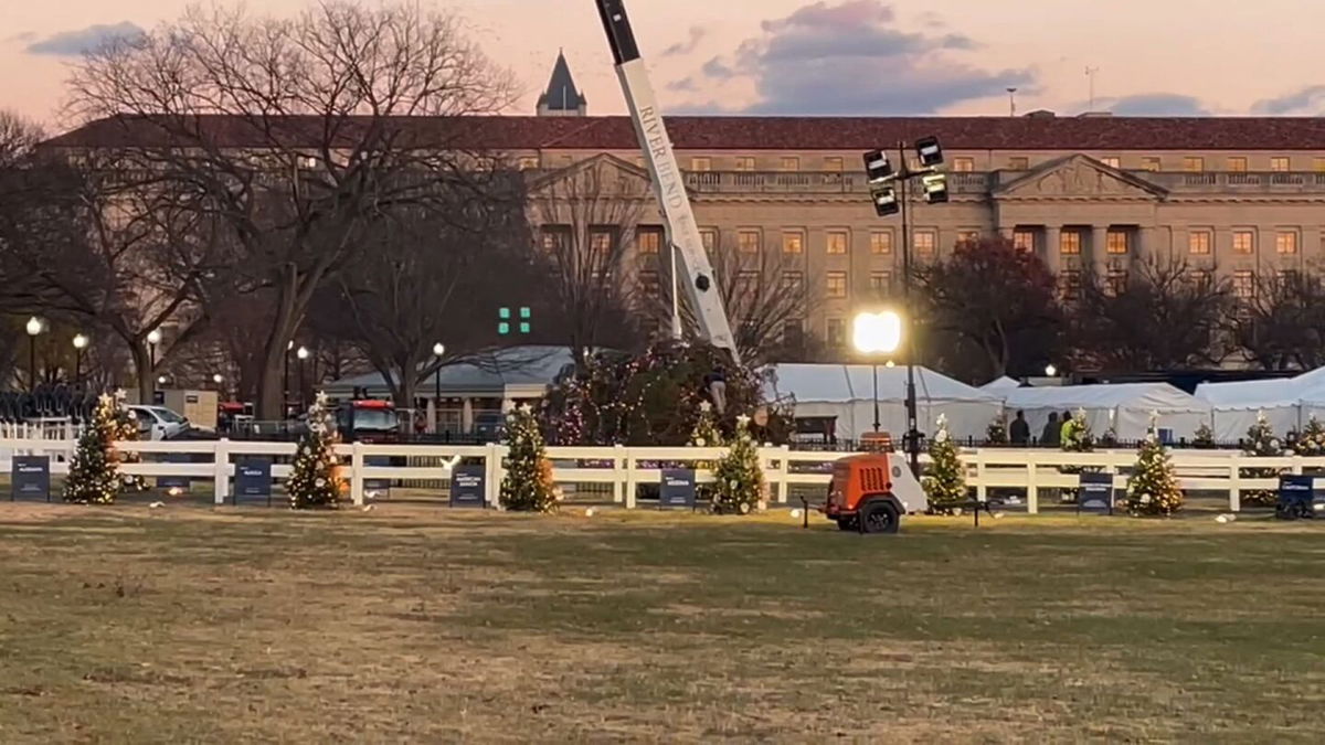 <i>CNN</i><br/>The National Christmas tree fell November 28 as DC saw wind gusts over 30 mph.