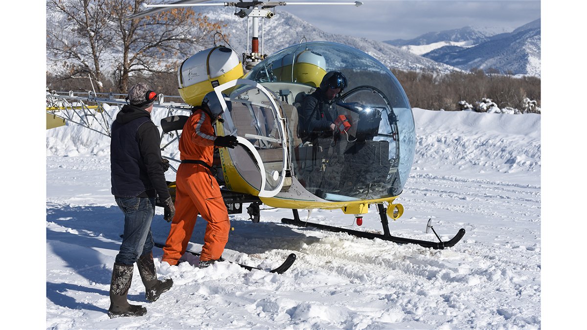 Helicopters are a critical observation tool used during winter big game surveys.