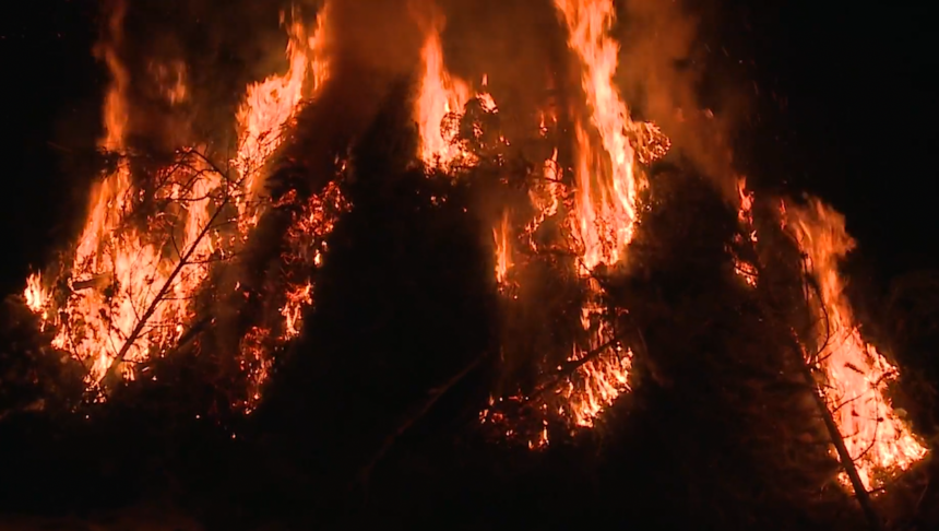 Christmas tree bonfire