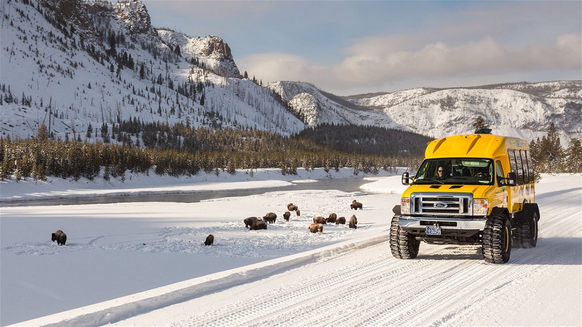 Snowcoach along the Madison River with bison 