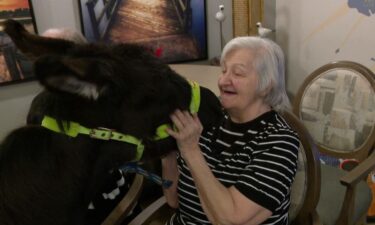 Tiptoe the therapy donkey visits a Minnetonka senior living center.