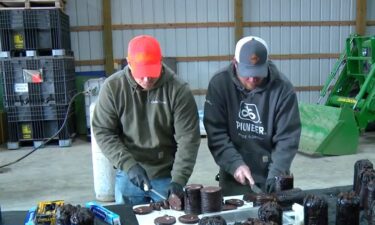 A rural Minnesota farmer keeps Norwegian delicacy