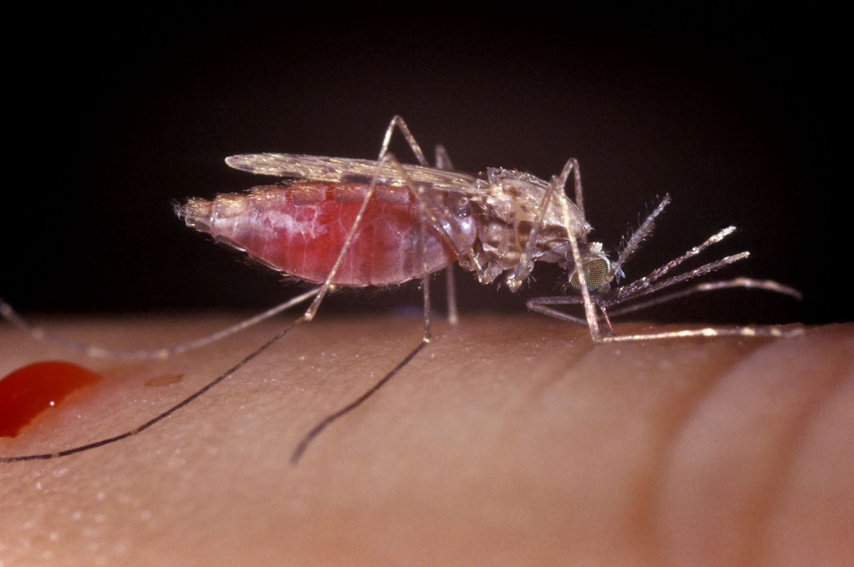 Malaria is a leading cause of death in Diabate’s country, where nearly all of the West African nation’s 22 million inhabitants, especially children, are at risk of the disease, according to the World Health Organization.