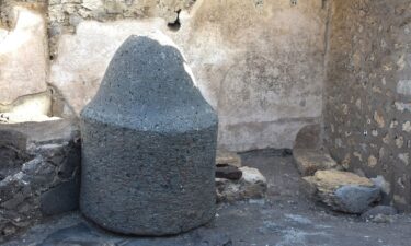 The discovery was made during the excavation of a home in Pompeii.