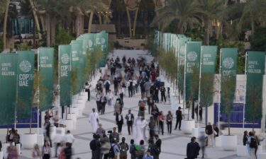 People walk through the COP28 U.N. Climate Summit