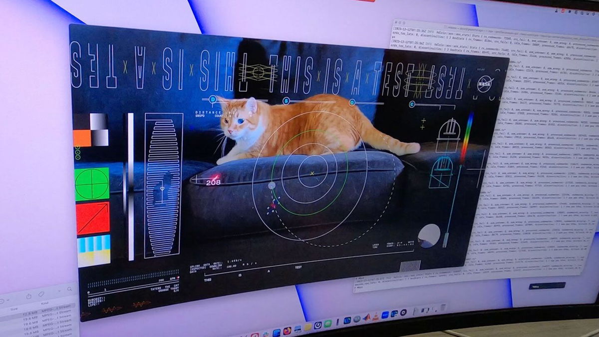 A computer screen in NASA's Jet Propulsion Laboratory's mission support area shows Taters the cat in the first high-definition streaming video to be sent via laser from deep space.