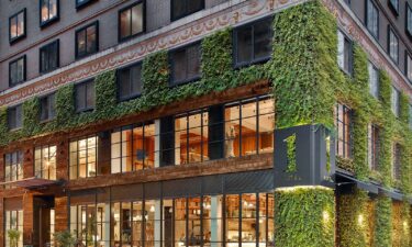 The 1 Hotel Central Park brings the outside world in while using reclaimed and natural materials wherever possible.