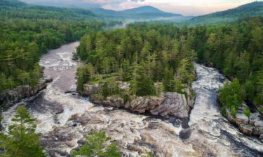 'Take it down and they'll return': The stunning revival of the Penobscot River