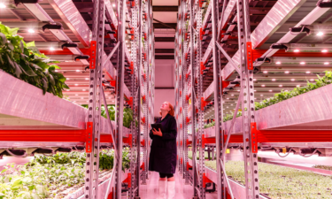 Could vertical farming change what local food means?