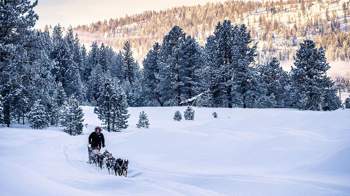 The Idaho Sled Dog Challenge is returning to the West Central Mountains of Idaho Jan. 20-Feb. 1, 2024, for its sixth year. Part of the Rocky Mountain Triple Crown, the race features world-class mushers and is an Iditarod and Yukon Quest qualifier. Pictured here on Feb. 2, 2022, Wade Donaldson from Coalville, Utah, drives his sled dog team towards the finish line of the 100-mile race, in which he finished third place. Donaldson took third place in the 100-mile race in 2023, too, and he's competing in the 100-mile race this year along with his brother, Dallin Donaldson, also from Coalville.