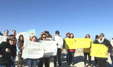 Dauphin Island residents came together to advocate for a fox named Roxy. Locals say Roxy is a hometown celebrity