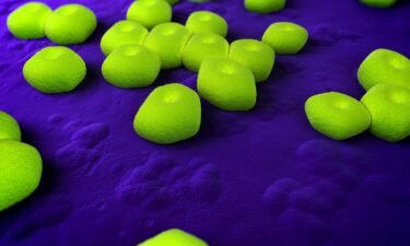 Researchers from Harvard University and Hoffmann-La Roche say they have developed an antibiotic to treat the highly resistant bacteria Acinetobacter baumannii.