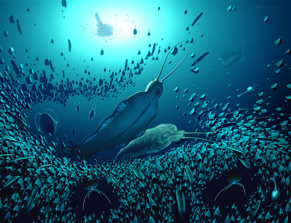 An artist's illustration shows giant predator worms swimming in an ancient sea.