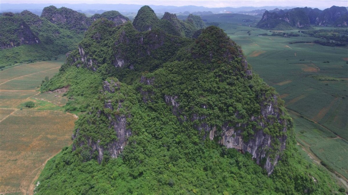 Many of the caves containing Gigantopithecus blacki fossils are in the distinctive karst landscape of China's Guangxi region.