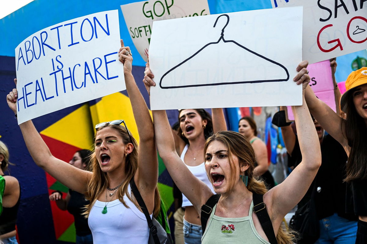 <i>Chandan Khanna/AFP/Getty Images</i><br/>Abortion rights activists hold signs reading 