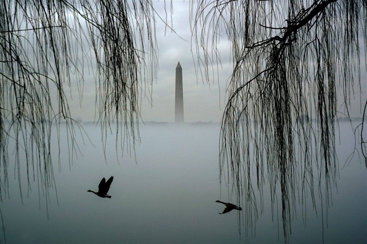Geese fly past as the Washington Monument rises above fog blanketing the Potomac River on an unseasonably warm day in Washington, DC, on January 25. It was foggy in the area, despite no active dense fog alerts.