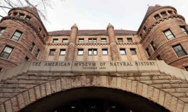 The south entrance to the American Museum of Natural History is shown in this photo