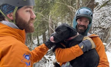 Dancer was "cold but alive" when rescuers found her.