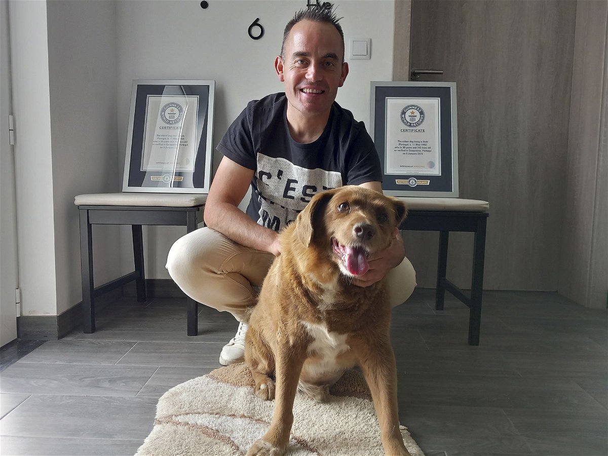 Bobi poses for a photo with his owner Leonel Costa and his Guinness World Record certificates for the oldest dog in May 2023.