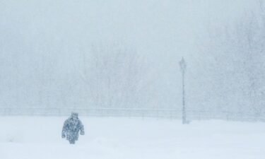 Snow trees are seen at Zao Ski Resort on January 20