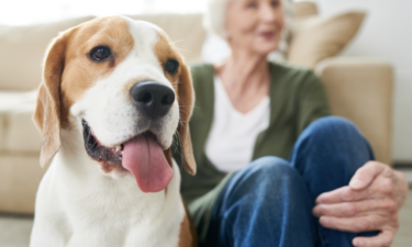 Older Americans lead the nation in pet spending