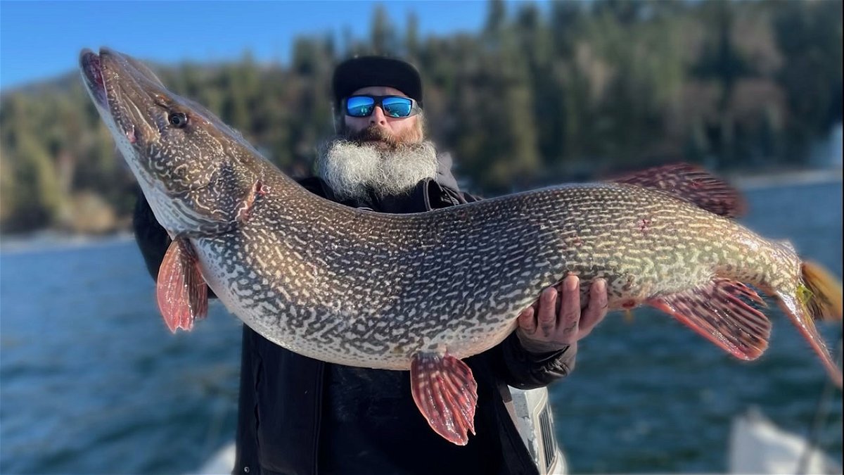 Thomas Francis was planning on going after a Hayden Lake monster that day, but the 40.76-pound lake monster that eventually took the hook was beyond his wildest imagination.